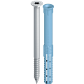 Fassadendübel mit Schraube SDF-S-10V 10x140